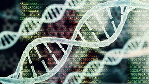 Landkarte der genetischen Brustkrebs-Risikomarker neu gezeichnet