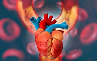 Therapien gegen Herzinfarkt: Forscher nehmen Entzündungen ins Visier Therapien gegen Herzinfarkt: Forscher nehmen Entzündungen ins Visier