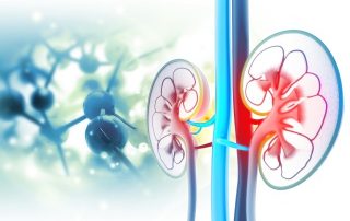 Kerendia® in der EU zur Behandlung von Patienten mit chronischer Nierenerkrankung in Verbindung mit Typ-2-Diabetes zugelassen Kerendia® in der EU zur Behandlung von Patienten mit chronischer Nierenerkrankung in Verbindung mit Typ-2-Diabetes zugelassen