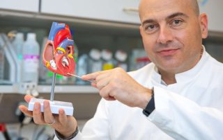 MHH: Auf der Zielgeraden zum RNA-Medikament gegen Herzfibrose