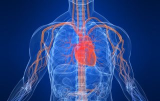 Herz-Lungen-Maschine: Prostaglandin E1 verringert Risiko für Patienten Herz-Lungen-Maschine: Prostaglandin E1 verringert Risiko für Patienten