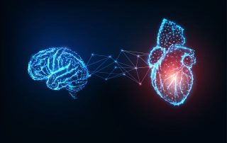 Forscher entdeckt, wie kranke Blutgefäße und Gehirn kommunizieren Forscher entdeckt, wie kranke Blutgefäße und Gehirn kommunizieren