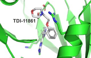 Wegweisende Studie zur „Antibabypille für den Mann“ – Bayreuther Biochemiker an der Wirkstoff-Identifizierung beteiligt