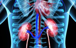 Nieren und Herz im Blick: Systemisch therapieren mit Finerenon bei CKD mit T2D und Vericiguat bei HFrEF nach Dekompensation
