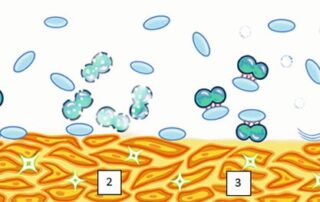 Teil 1: Gestörte Vaginalökologie als Ursache für vaginale Erkrankungen, Blasenentzündungen und Frühgeburten Teil 1: Gestörte Vaginalökologie als Ursache für vaginale Erkrankungen, Blasenentzündungen und Frühgeburten
