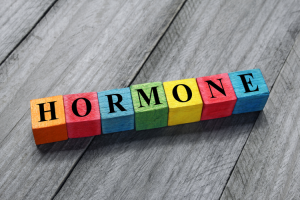 Endokrinologie: Wo Hormone alles eine Rolle spielen