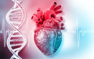 Genetischer Test zur Früherkennung von kardiovaskulärem Hochrisiko © Rasi – stock.adobe.com