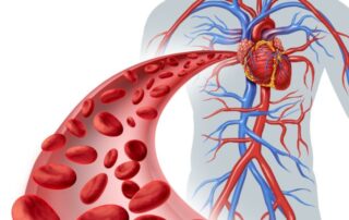 Diabetes und kardiovaskuläre Erkrankung aus der Sicht des Diabetologen Diabetes und kardiovaskuläre Erkrankung aus der Sicht des Diabetologen