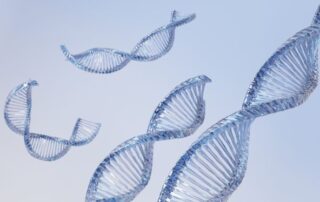 ATTR-CM: Vutrisiran reduziert die Sterblichkeit deutlich © TANATPON - stock.adobe.com