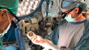Einsatz des Gerätes in einer OP-Situation. ©Universitätsklinik für Herzchirurgie, Innsbruck